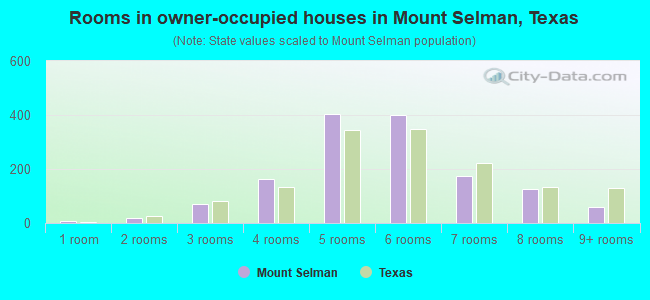 Rooms in owner-occupied houses in Mount Selman, Texas