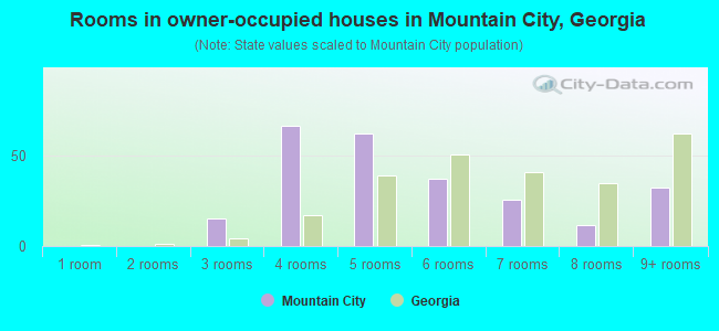 Rooms in owner-occupied houses in Mountain City, Georgia