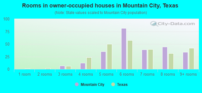 Rooms in owner-occupied houses in Mountain City, Texas