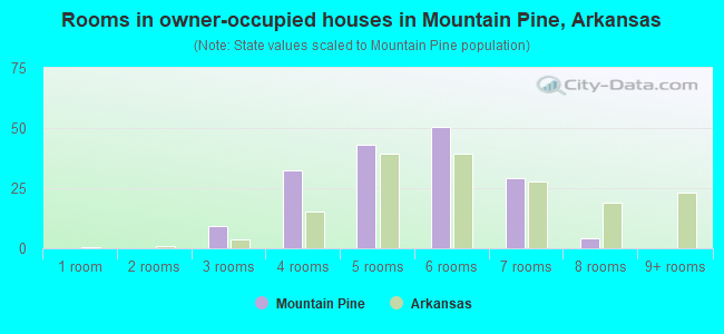 Rooms in owner-occupied houses in Mountain Pine, Arkansas