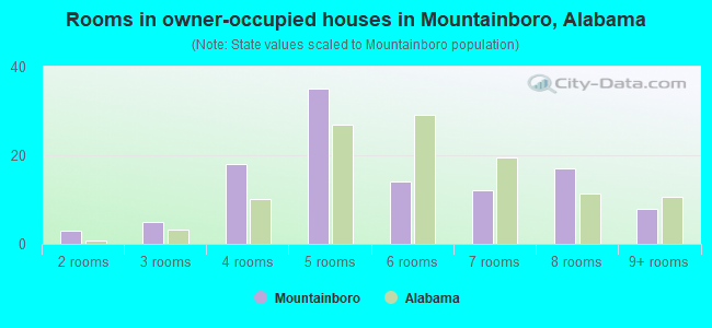 Rooms in owner-occupied houses in Mountainboro, Alabama