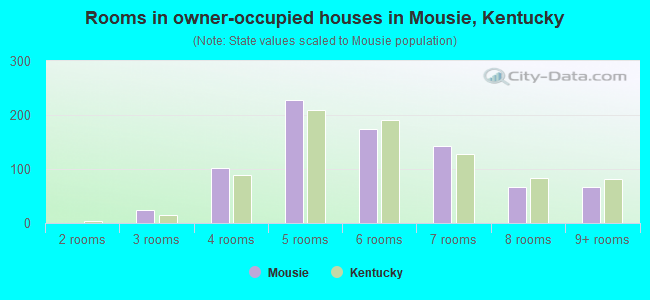 Rooms in owner-occupied houses in Mousie, Kentucky