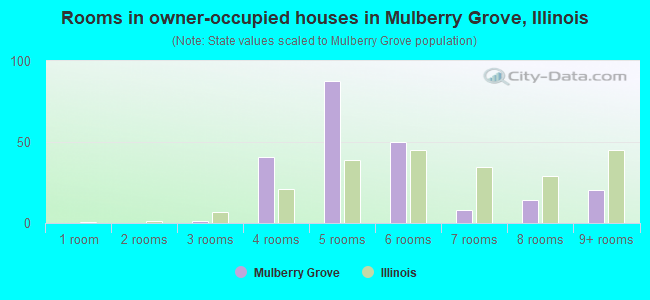 Rooms in owner-occupied houses in Mulberry Grove, Illinois