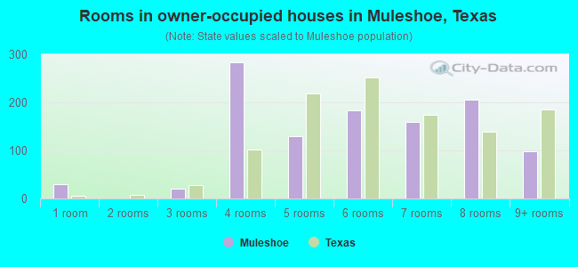 Rooms in owner-occupied houses in Muleshoe, Texas