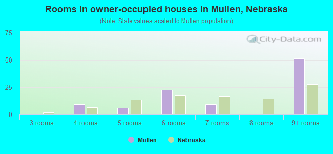 Rooms in owner-occupied houses in Mullen, Nebraska