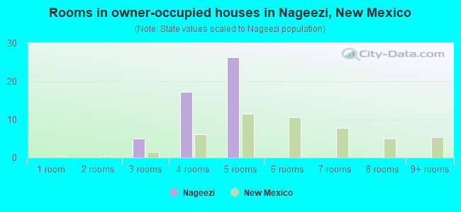 Rooms in owner-occupied houses in Nageezi, New Mexico