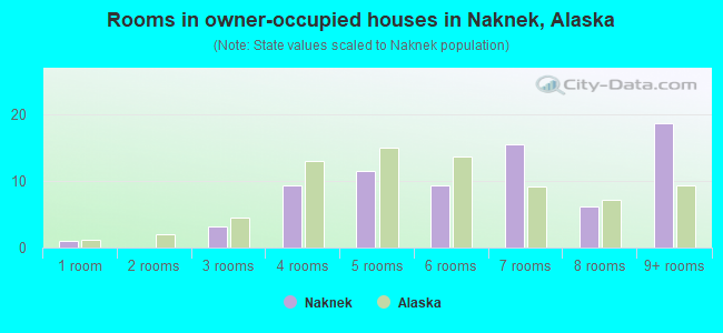 Rooms in owner-occupied houses in Naknek, Alaska