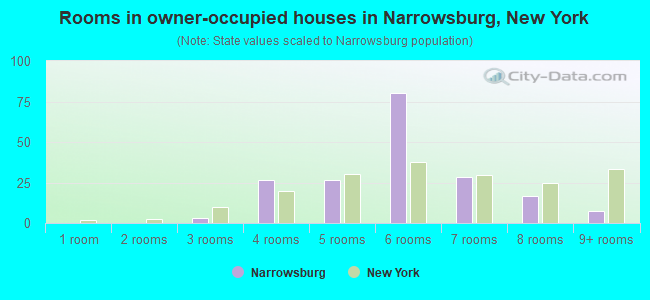 Rooms in owner-occupied houses in Narrowsburg, New York