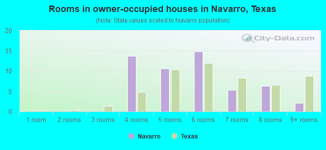 Rooms in owner-occupied houses in Navarro, Texas