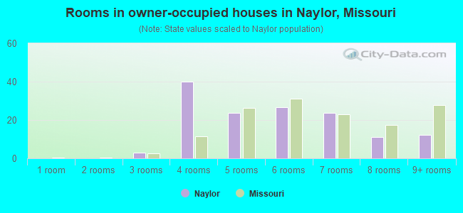 Rooms in owner-occupied houses in Naylor, Missouri