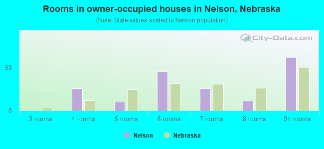 Rooms in owner-occupied houses in Nelson, Nebraska