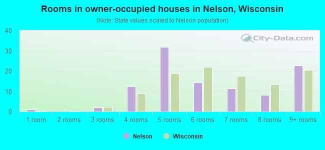 Rooms in owner-occupied houses in Nelson, Wisconsin
