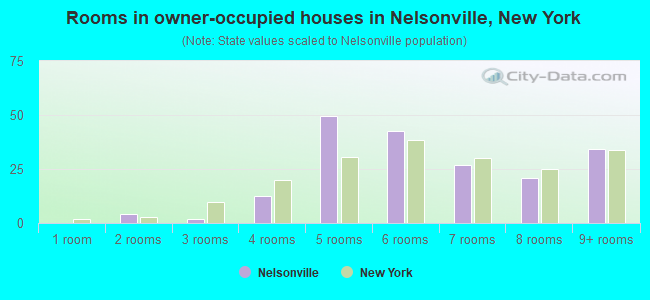 Rooms in owner-occupied houses in Nelsonville, New York