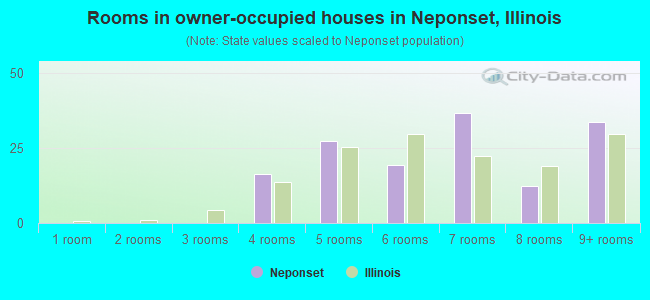 Rooms in owner-occupied houses in Neponset, Illinois