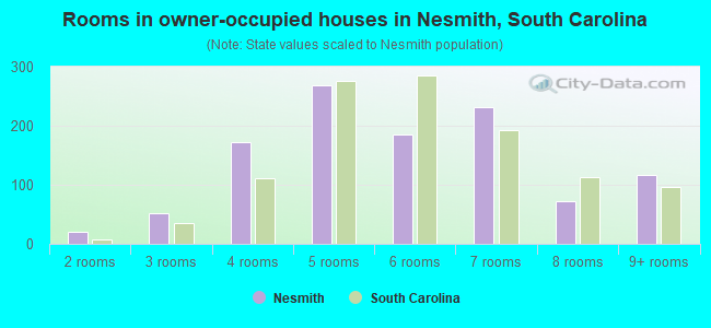 Rooms in owner-occupied houses in Nesmith, South Carolina