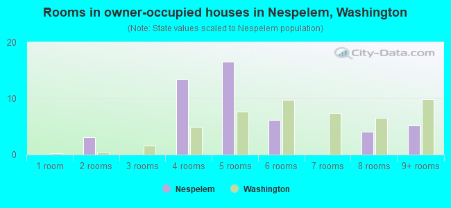 Rooms in owner-occupied houses in Nespelem, Washington