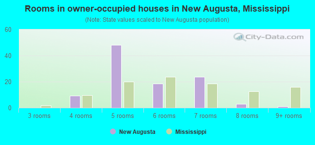 Rooms in owner-occupied houses in New Augusta, Mississippi