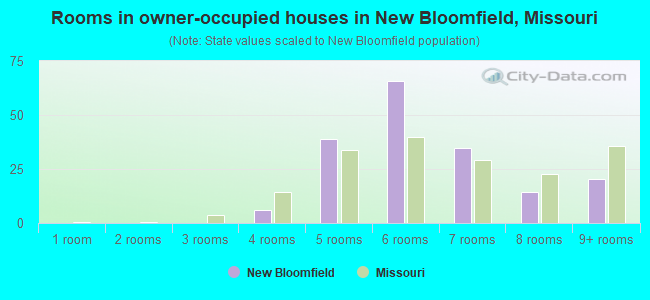 Rooms in owner-occupied houses in New Bloomfield, Missouri
