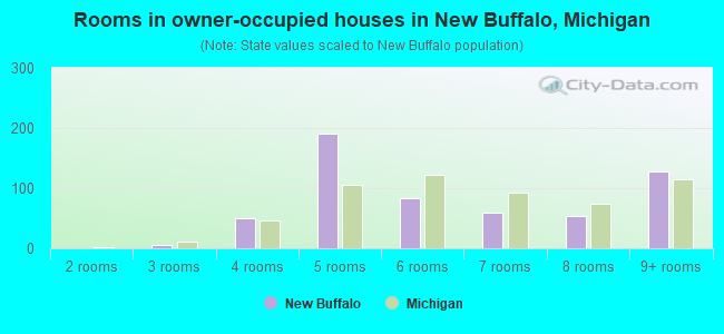 Rooms in owner-occupied houses in New Buffalo, Michigan