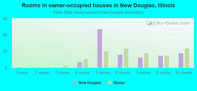 Rooms in owner-occupied houses in New Douglas, Illinois