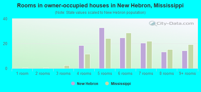 Rooms in owner-occupied houses in New Hebron, Mississippi