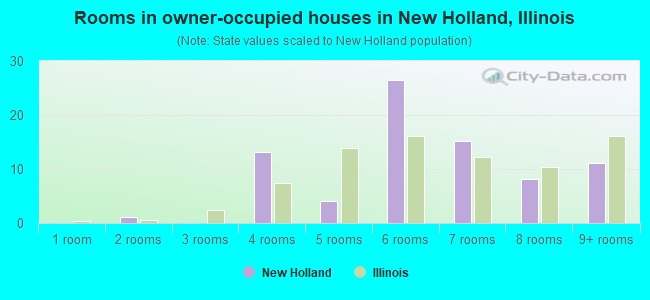 Rooms in owner-occupied houses in New Holland, Illinois