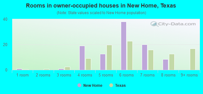 Rooms in owner-occupied houses in New Home, Texas