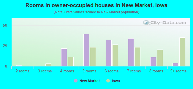 Rooms in owner-occupied houses in New Market, Iowa