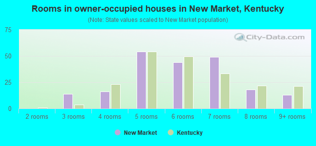 Rooms in owner-occupied houses in New Market, Kentucky