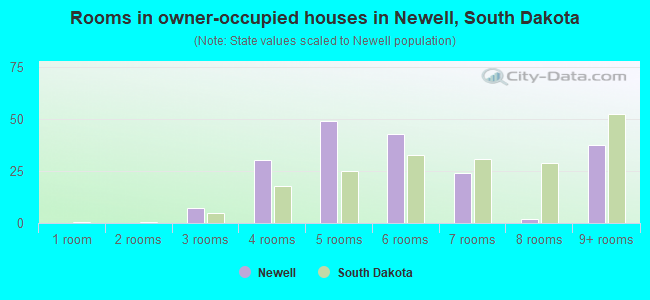 Rooms in owner-occupied houses in Newell, South Dakota