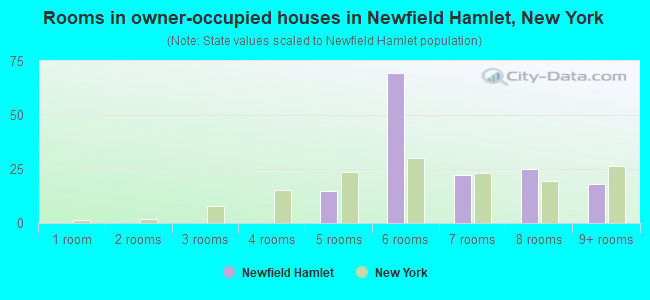 Rooms in owner-occupied houses in Newfield Hamlet, New York