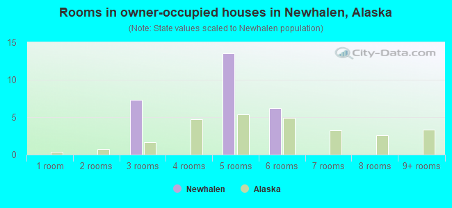 Rooms in owner-occupied houses in Newhalen, Alaska