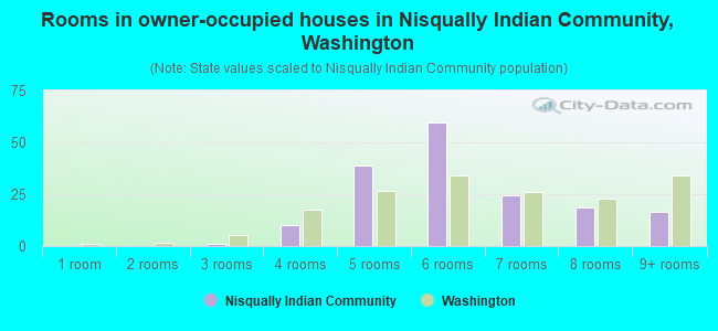 Rooms in owner-occupied houses in Nisqually Indian Community, Washington