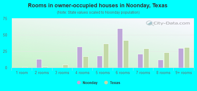 Rooms in owner-occupied houses in Noonday, Texas