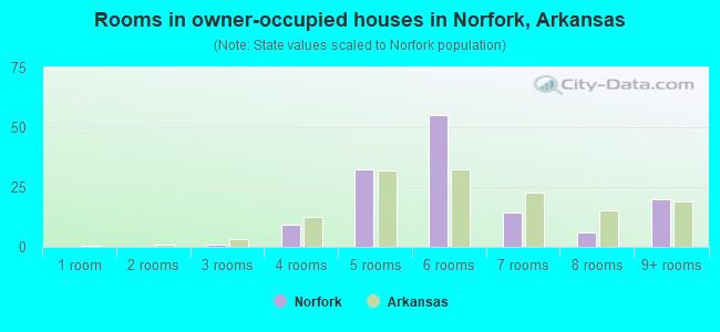 Rooms in owner-occupied houses in Norfork, Arkansas