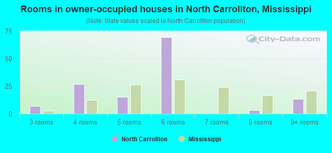 Rooms in owner-occupied houses in North Carrollton, Mississippi