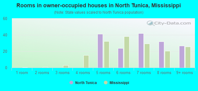 Rooms in owner-occupied houses in North Tunica, Mississippi