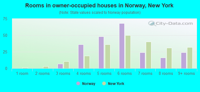 Rooms in owner-occupied houses in Norway, New York