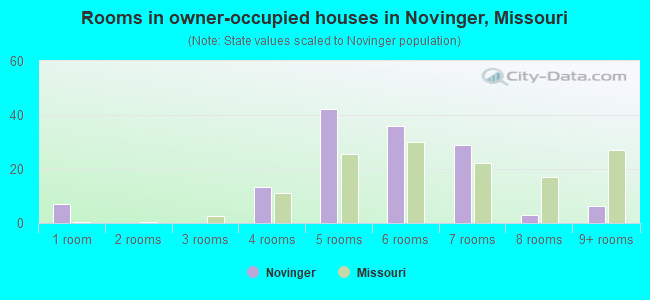 Rooms in owner-occupied houses in Novinger, Missouri