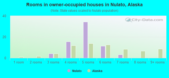 Rooms in owner-occupied houses in Nulato, Alaska