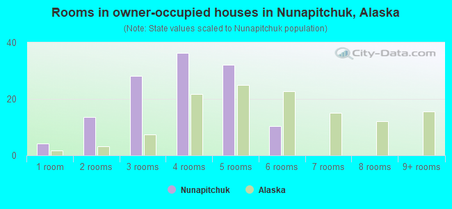 Rooms in owner-occupied houses in Nunapitchuk, Alaska