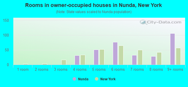 Rooms in owner-occupied houses in Nunda, New York