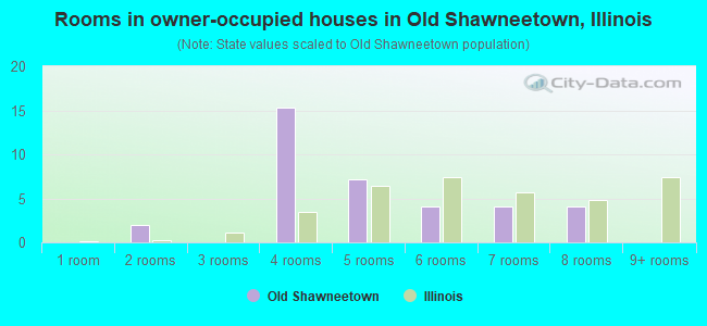 Rooms in owner-occupied houses in Old Shawneetown, Illinois