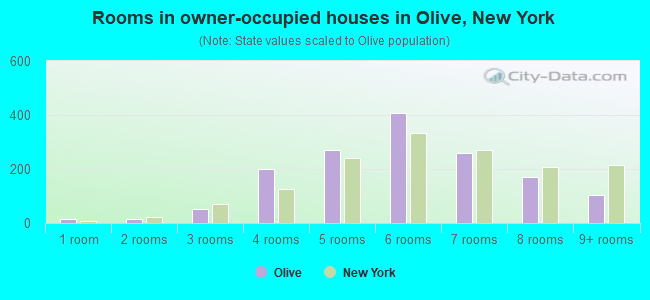 Rooms in owner-occupied houses in Olive, New York