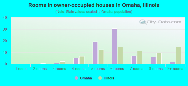 Rooms in owner-occupied houses in Omaha, Illinois