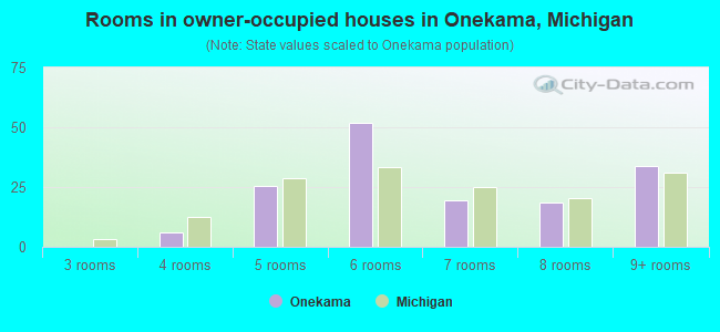 Rooms in owner-occupied houses in Onekama, Michigan