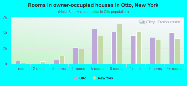 Rooms in owner-occupied houses in Otto, New York