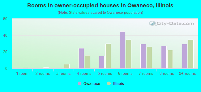 Rooms in owner-occupied houses in Owaneco, Illinois