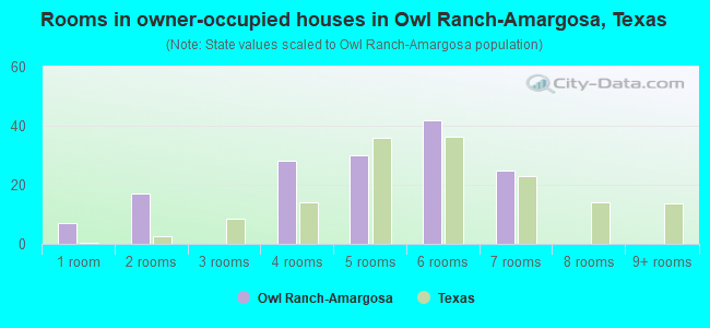 Rooms in owner-occupied houses in Owl Ranch-Amargosa, Texas