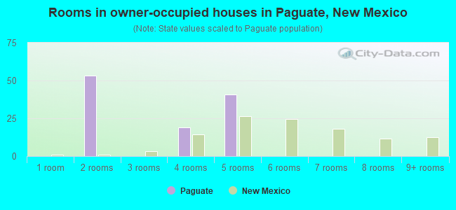 Rooms in owner-occupied houses in Paguate, New Mexico